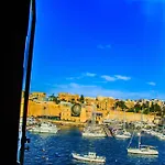 Seagull Seaview