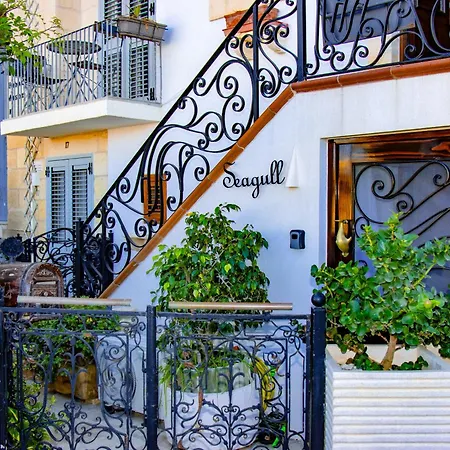 Seagull Seaview Birgu