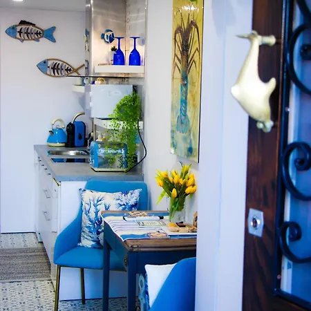 Seagull Seaview Birgu