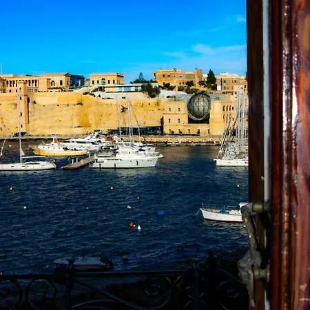 Seagull Seaview Birgu