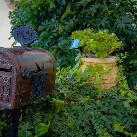 Seagull Seaview * Birgu