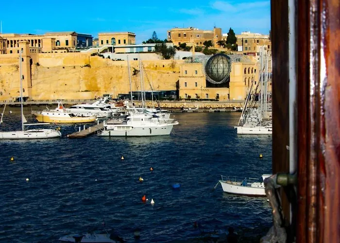 Seagull Seaview Birgu