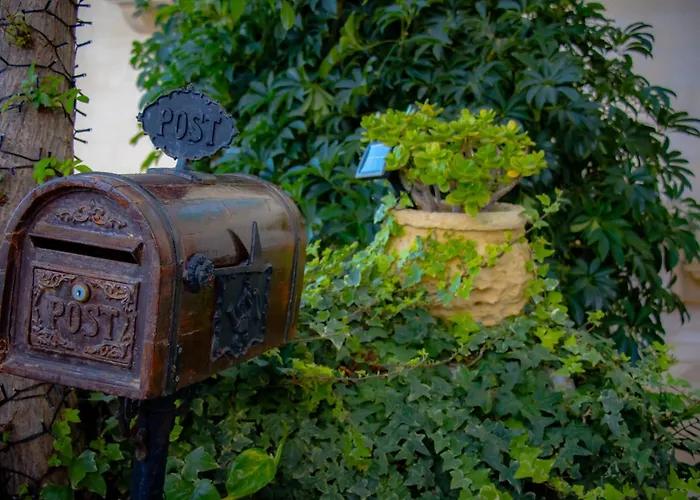 Seagull Seaview * Birgu